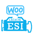 ESI for WooCommerce