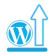 Automatic WordPress Optimization