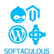 Softaculous One Click Installer